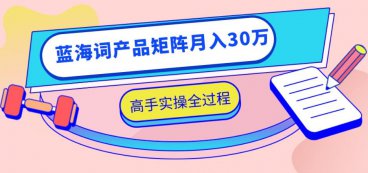 淘宝无货源店群项目蓝海词产品矩阵操作技巧