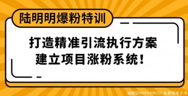 陆明明爆粉特训：打造精准引流执行方案，建立项目涨粉系统！