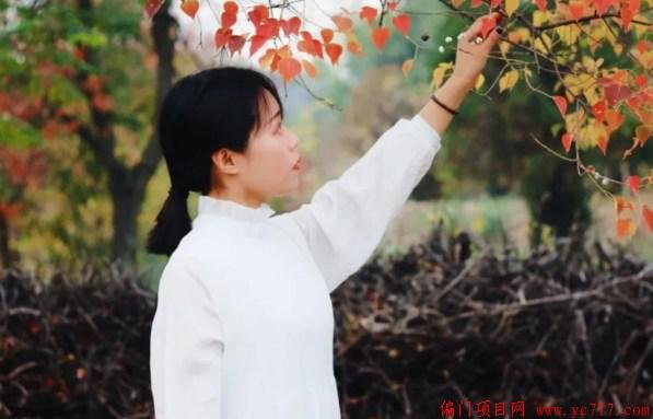 下载 (46).jpg