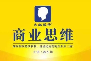 2020苏引华总裁商业思维系统vip内部视频课程百度网盘