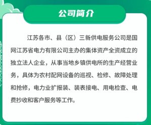 <b>江苏地区“三新”供电服务公司2024年招聘考试公告（第二批）</b>